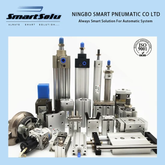 ISO Stainless Steel Aluminum Material Double Single Acting Customized Mini Compact Standard Air Pneumatic Cylinder
